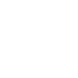Instagram Icon