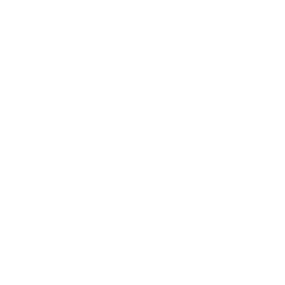 X Icon